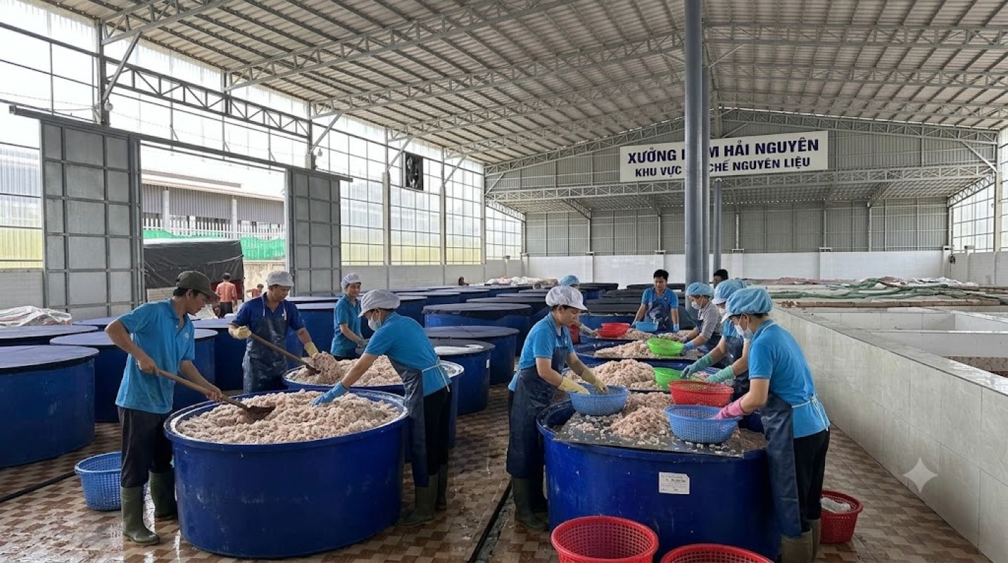 Những Con Ruốt Tươi Được Chọn Lọc - Nguyên Liệu Đầu Vào Để Tạo Nên Mắm Hải Nguyên